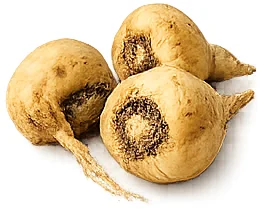Tenovix — maca root